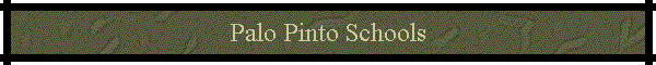 Palo Pinto Schools